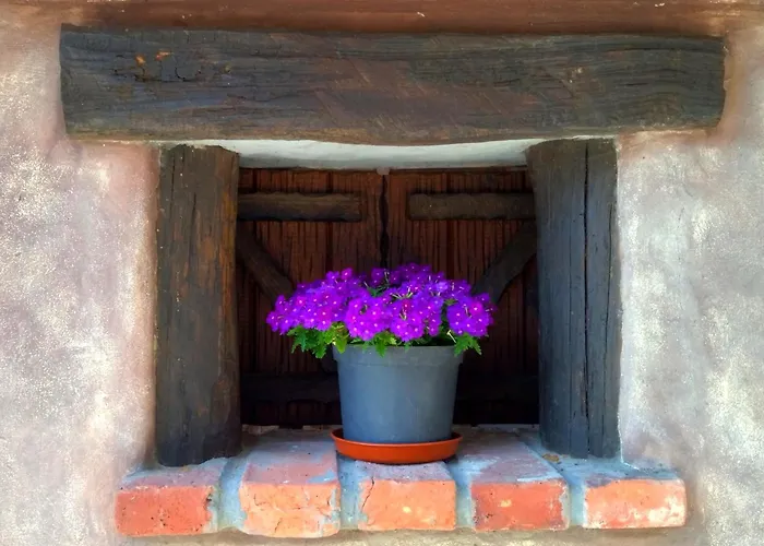 Casa Rural El Cotu en Cangas de Onís