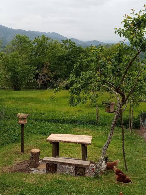 Casa de Férias El Cotu En Cangas De