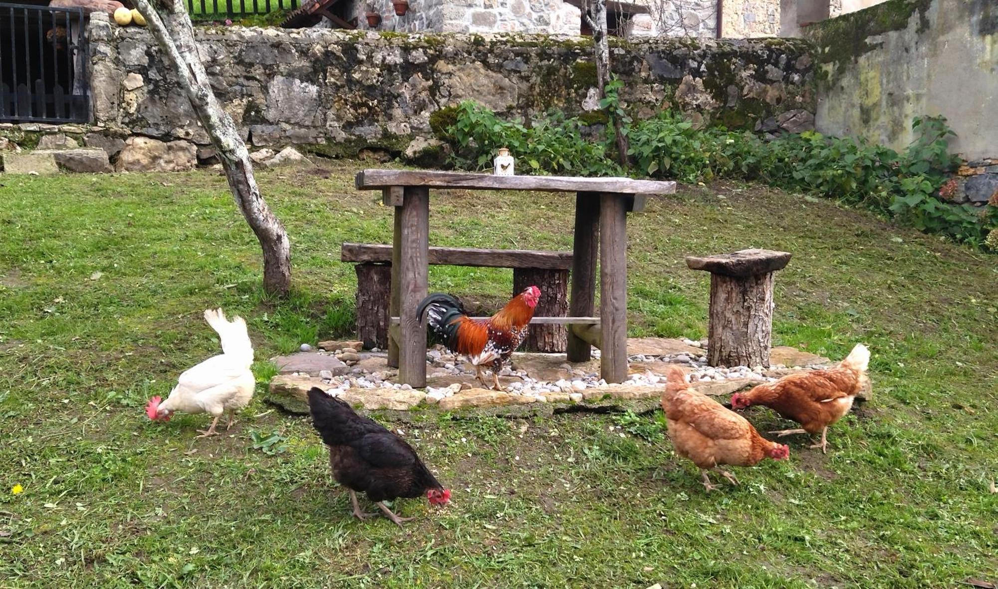 El Cotu En Cangas De Casa de Férias *